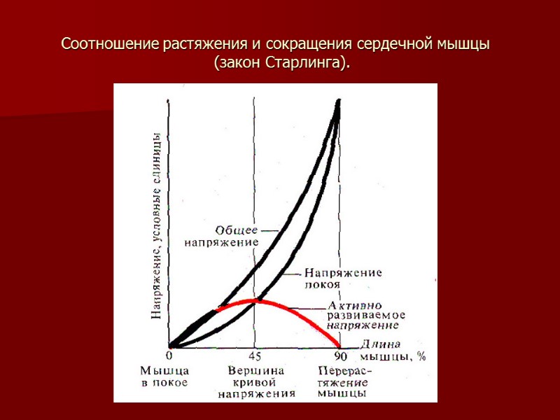 Соотношение растяжения и сокращения сердечной мышцы    (закон Старлинга).